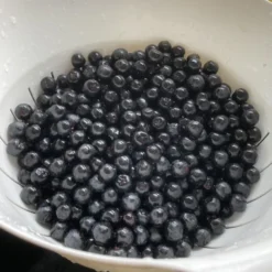 Apfelbeere 'Nero' -Deutschland Garten Funk Verkaufs-Shop apfelbeere nero m002526 1082118 0