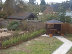 Bambus 'Jumbo' -Deutschland Garten Funk Verkaufs-Shop bambus jumbo m006996 271123 0