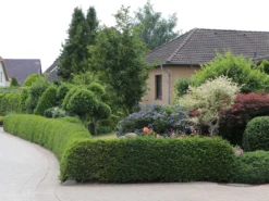 Eibe -Deutschland Garten Funk Verkaufs-Shop eibe m000601 w 2