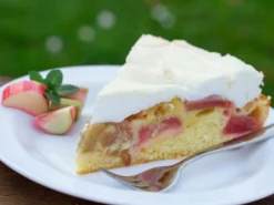 Erdbeer-Rhabarber / Himbeer-Rhabarber 'Frambozen Rood' -Deutschland Garten Funk Verkaufs-Shop erdbeer rhabarber himbeer rhabarber frambozen rood m102689 w 1