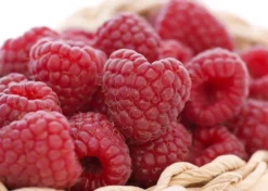 Himbeere 'Sanibelle' ®