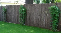 Hopfen -Deutschland Garten Funk Verkaufs-Shop i9048 Hopfen 123693 0