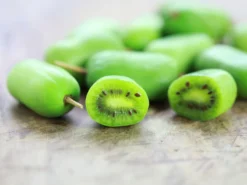 Kiwi 'Issai' -Deutschland Garten Funk Verkaufs-Shop kiwi issai m002532 w 2