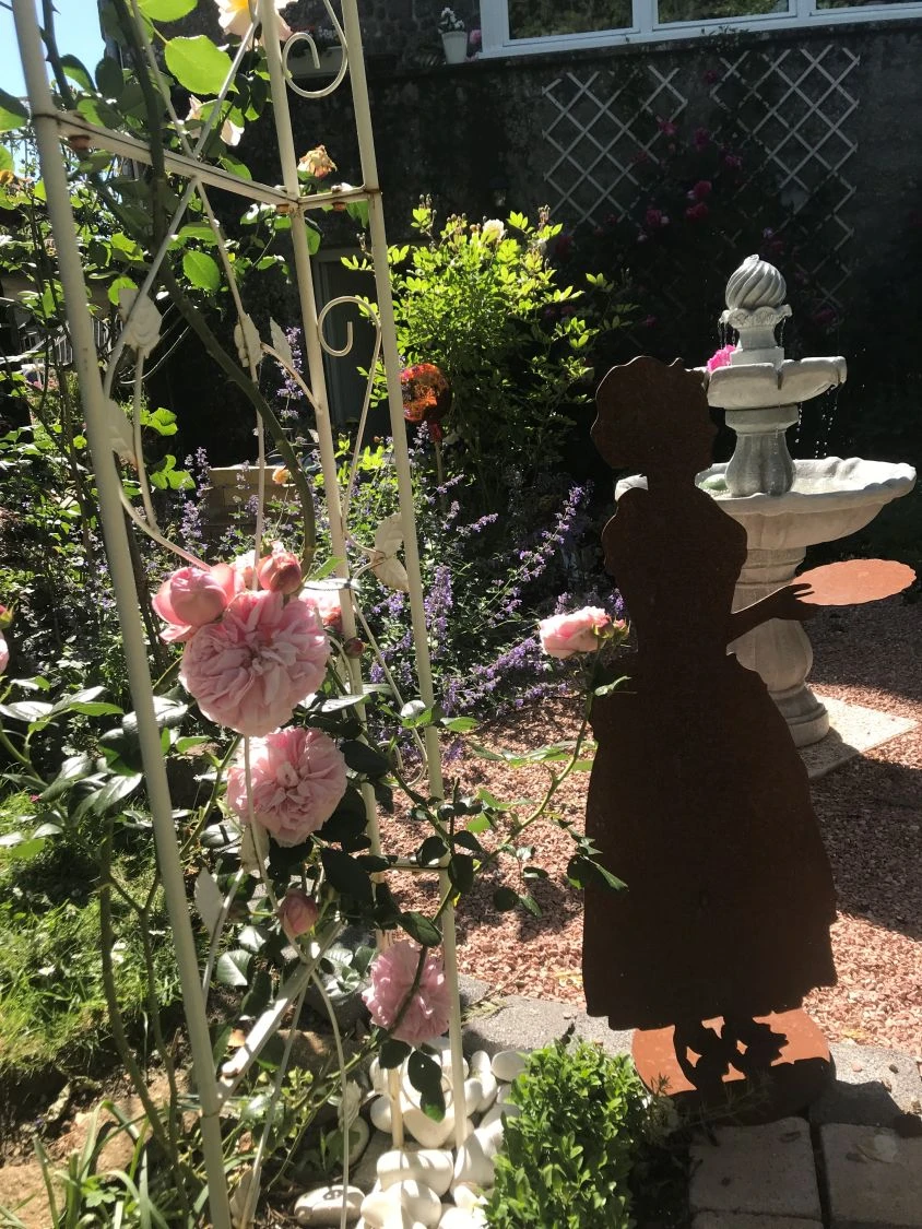 Kletterrose 'Giardina' ® 14 Kletterrose 'Giardina' ® – Bild 14