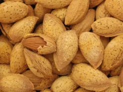 Pfälzer Fruchtmandel