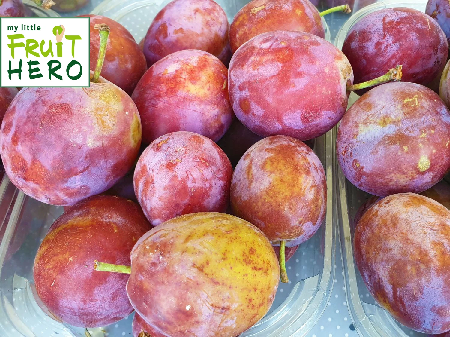 Pflaume My Little Fruit Hero ® 'Opal' 1 Pflaume My Little Fruit Hero ® 'Opal'