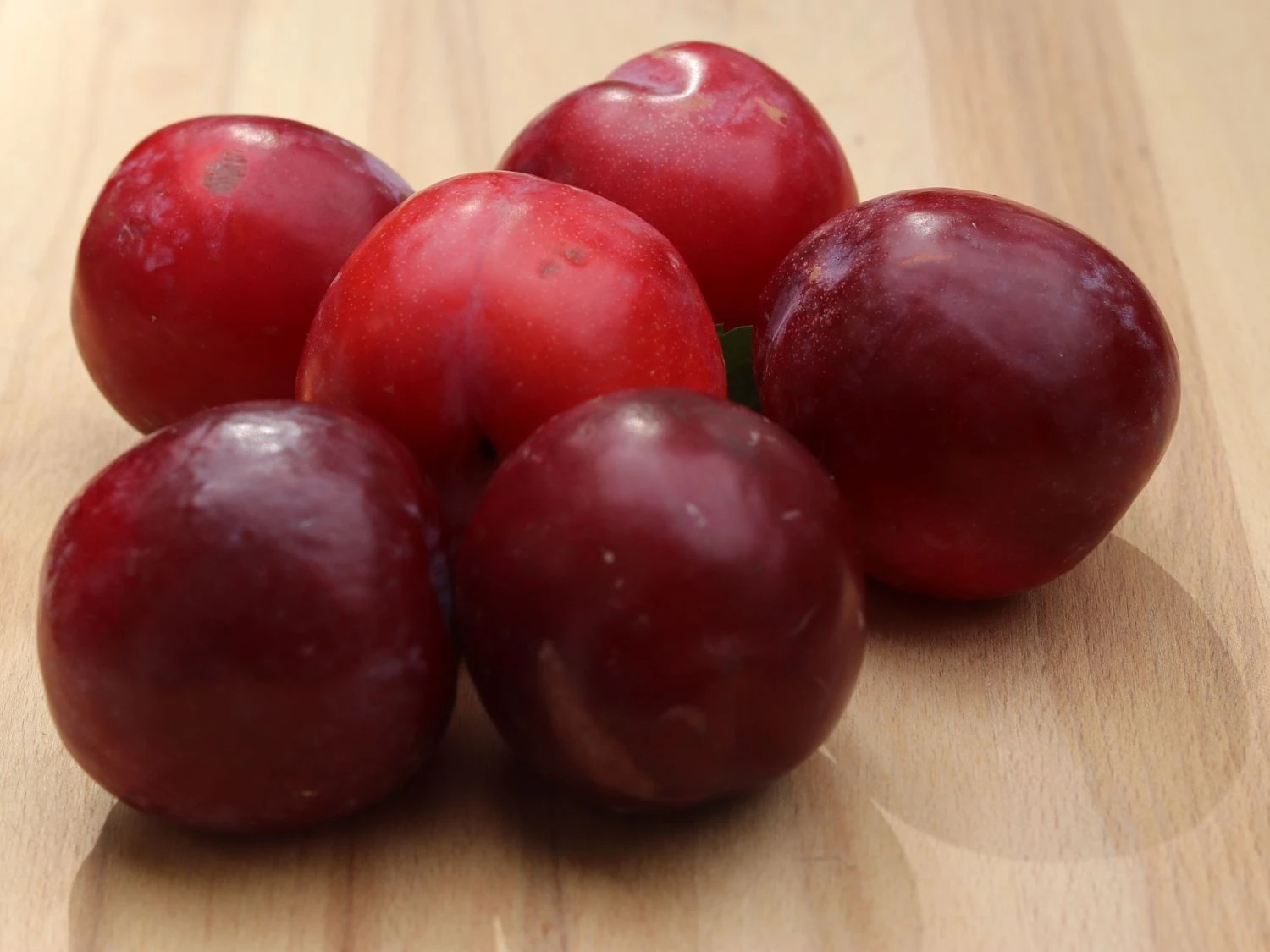 Pflaume 'Unika' 2 Pflaume 'Unika' – Bild 2