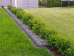 Portugiesische Lorbeerkirsche 'Angustifolia' -Deutschland Garten Funk Verkaufs-Shop portugiesische lorbeerkirsche angustifolia m012196 1015328 0