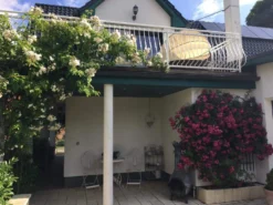 Ramblerrose 'Bobby James' -Deutschland Garten Funk Verkaufs-Shop ramblerrose bobby james m004608 223731 0