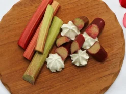 Rhabarber 'Mira' -Deutschland Garten Funk Verkaufs-Shop rhabarber mira m098954 w 4