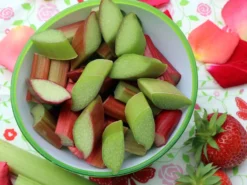 Rhabarber 'The Sutton'