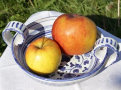 Sommerapfel 'James Grieve' -Deutschland Garten Funk Verkaufs-Shop sommerapfel james grieve m000558 w 2