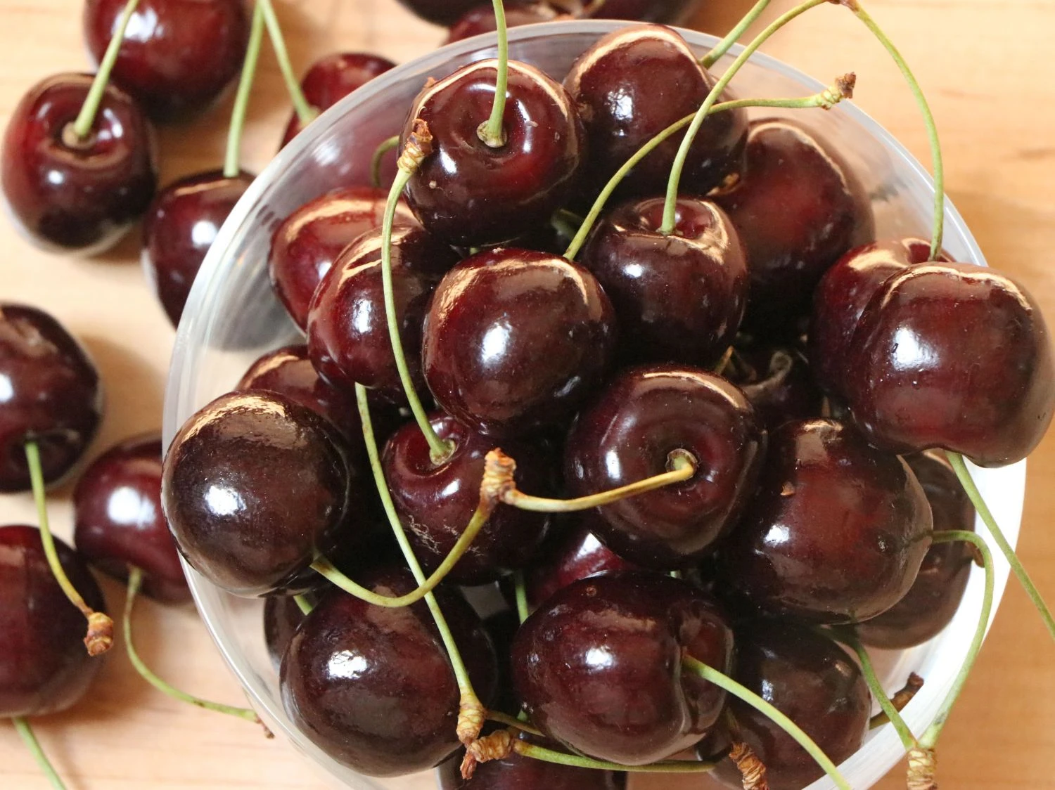 Süßkirsche 'Stella' / Selbstfruchtend 1 Süßkirsche 'Stella' / Selbstfruchtend