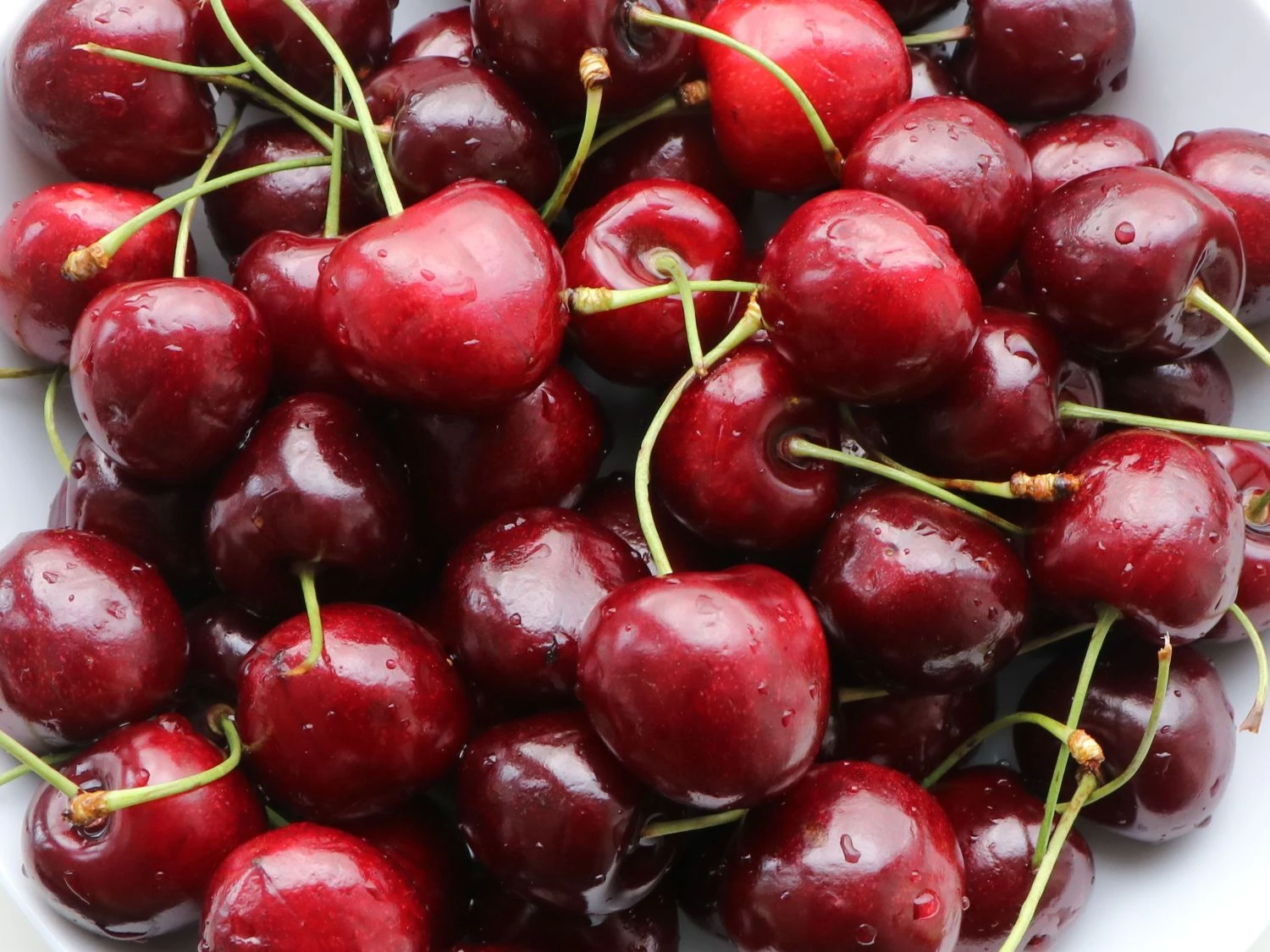 Süßkirsche 'Sunburst' 1 Süßkirsche 'Sunburst'