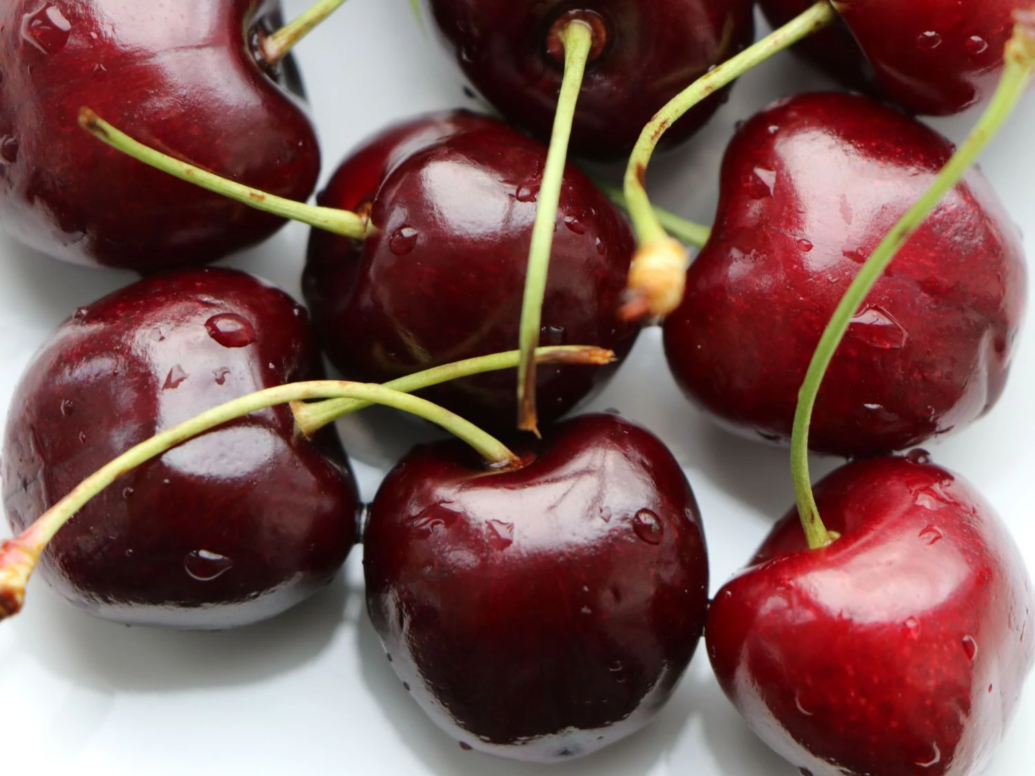 Süßkirsche 'Sunburst' 4 Süßkirsche 'Sunburst' – Bild 4