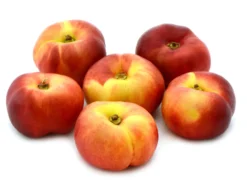 Tellernektarine (in Sorten)