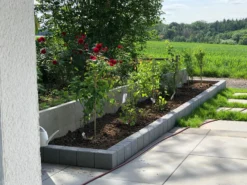 Vogelnährgehölze Aus 10 Pflanzen -Deutschland Garten Funk Verkaufs-Shop vogelnaehrgehoelze aus 10 pflanzen m010235 1448439 0