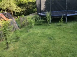 Vogelnährgehölze Aus 10 Pflanzen -Deutschland Garten Funk Verkaufs-Shop vogelnaehrgehoelze aus 10 pflanzen m010235 980523 0