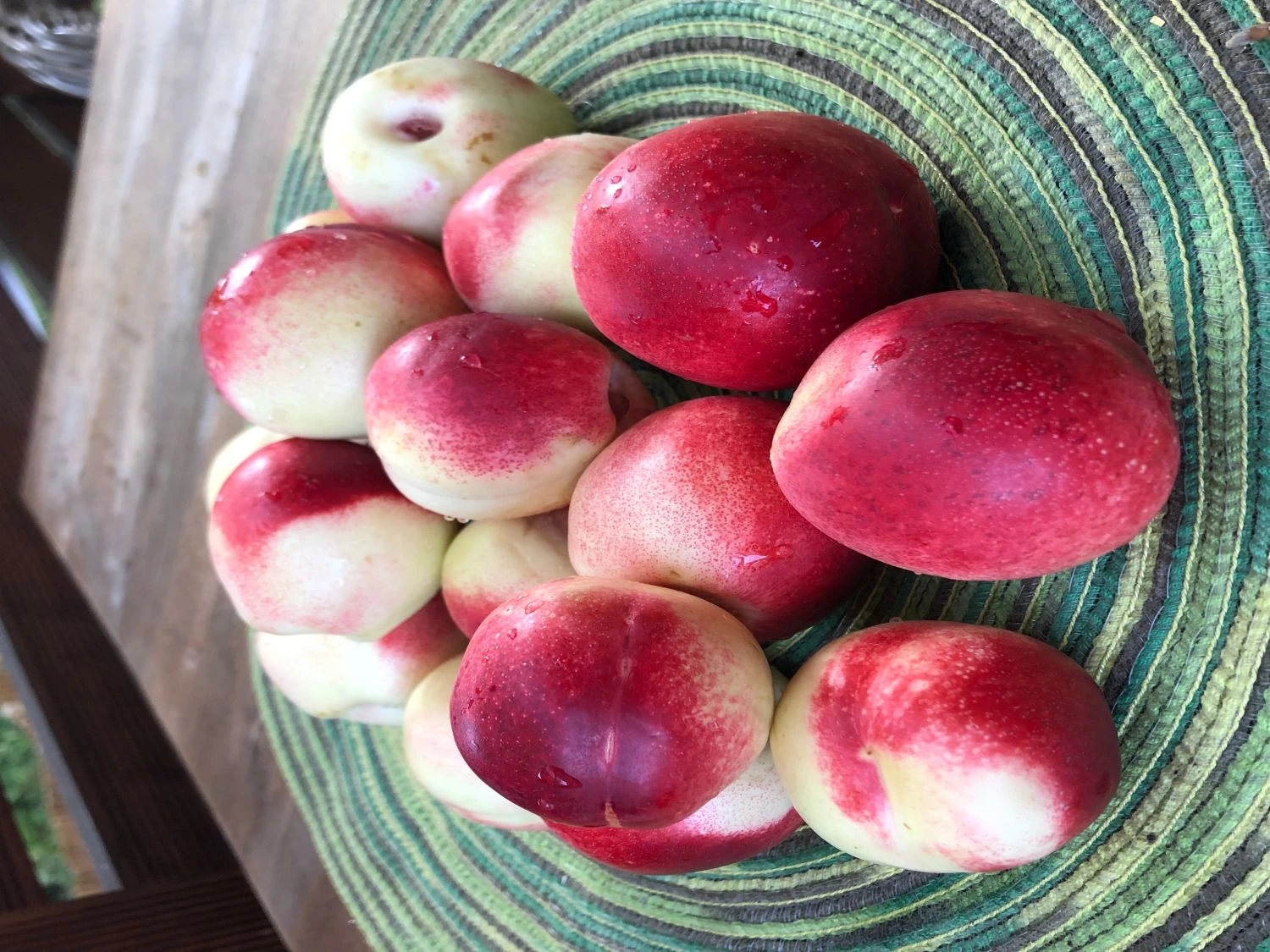 Nektarine (Zwergform) 4 Nektarine (Zwergform) – Bild 4